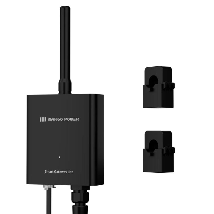 Mango Power Smart Gateway Lite close up view